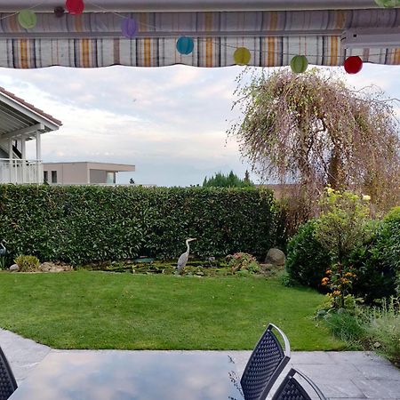 Hillside Homestay Near Luzern By Menbergs Harmony Homestay Hildisrieden 외부 사진