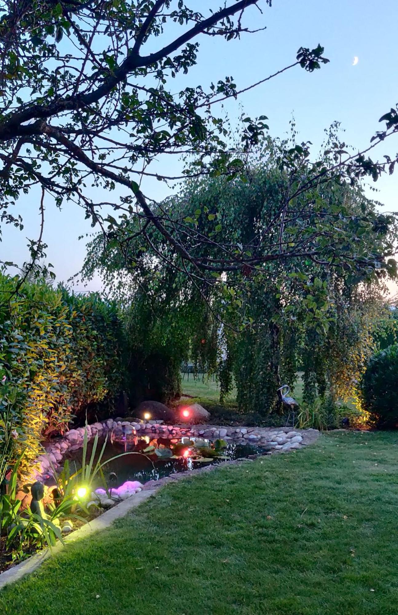 Hillside Homestay Near Luzern By Menbergs Harmony Homestay Hildisrieden 외부 사진